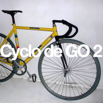 080315-cyclodego2